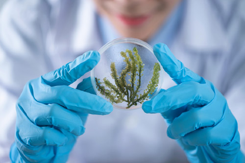 十大滚球app下载