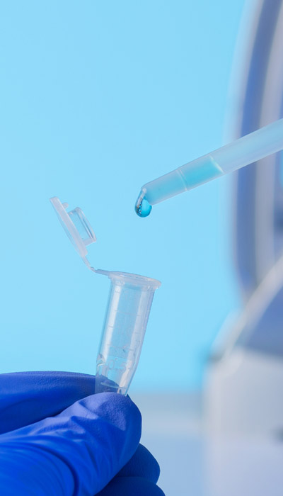 十大滚球app下载