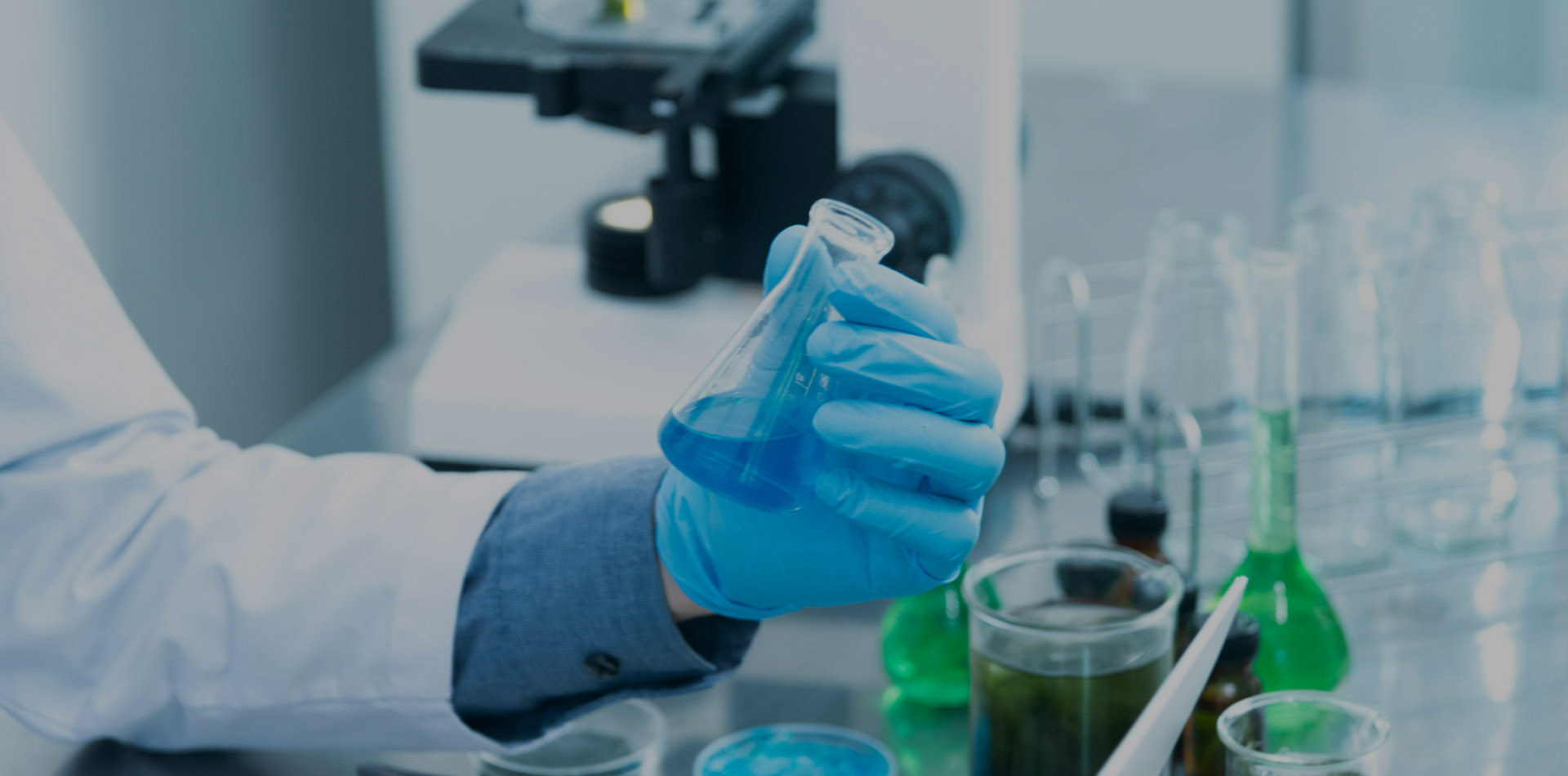 十大滚球app下载