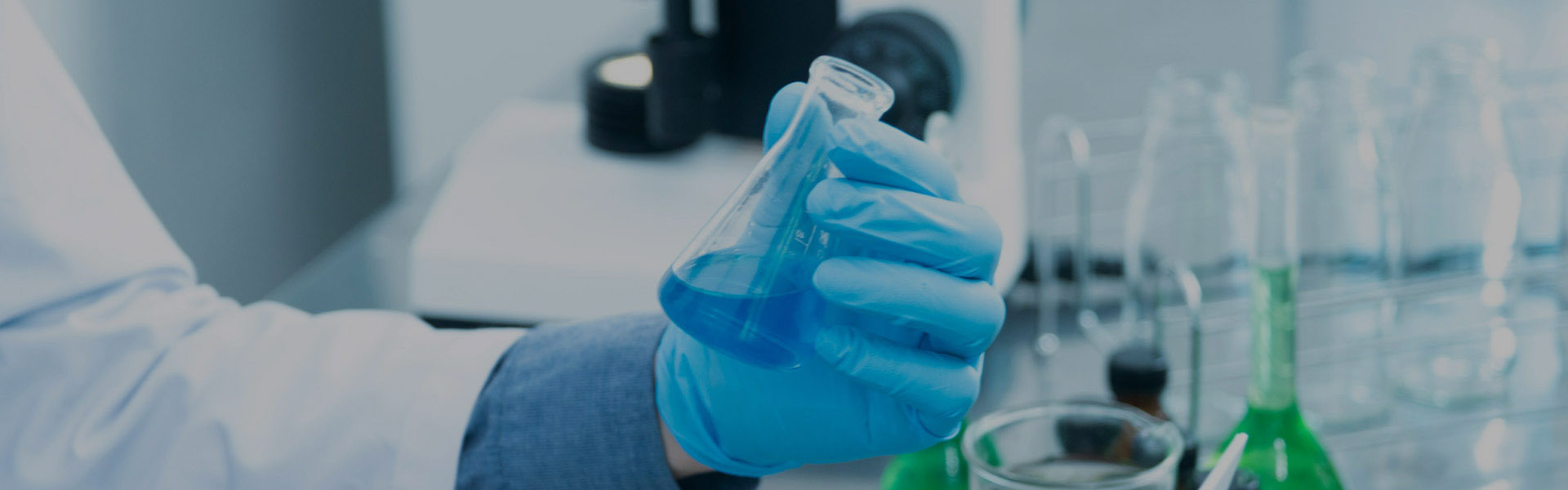 十大滚球app下载