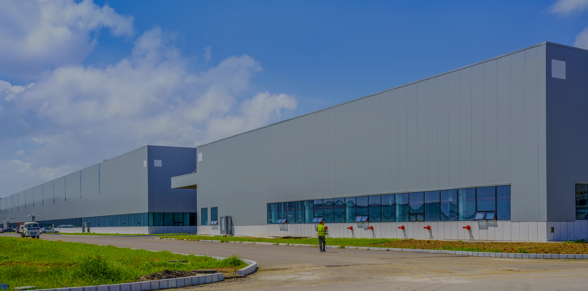 十大滚球app下载