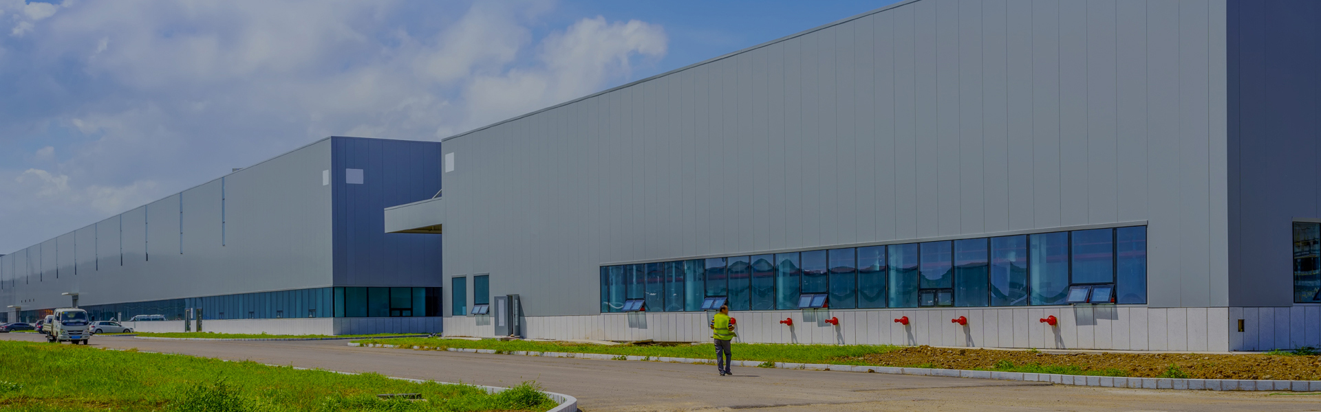 十大滚球app下载